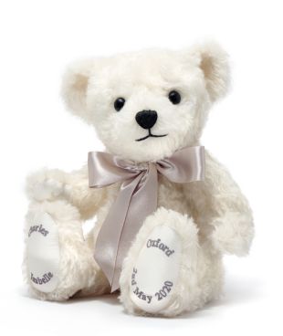 Special Occasion Bear (with box)